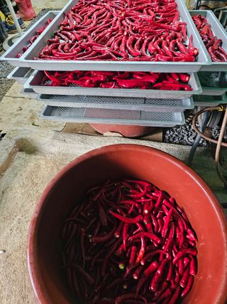 유만종님의 자유주제 · 자유게시판 작성글 사진