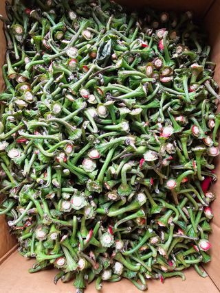 유만종님의 자유주제 · 자유게시판 작성글 사진