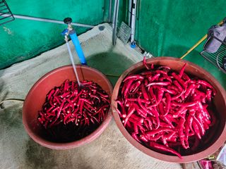 유만종님의 자유주제 · 자유게시판 작성글 사진