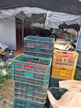 천년의사랑님의 8월 내 작물 자랑하기 · 참여글 작성글 사진