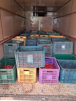 천년의사랑님의 8월 내 작물 자랑하기 · 참여글 작성글 사진