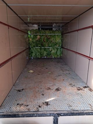 천년의사랑님의 8월 내 작물 자랑하기 · 참여글 작성글 사진