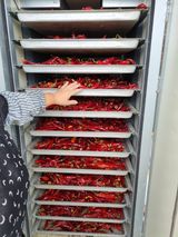 팜모닝 고추·수확 게시글 이미지