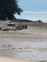 팜모닝 자유주제·자유게시판 게시글 이미지