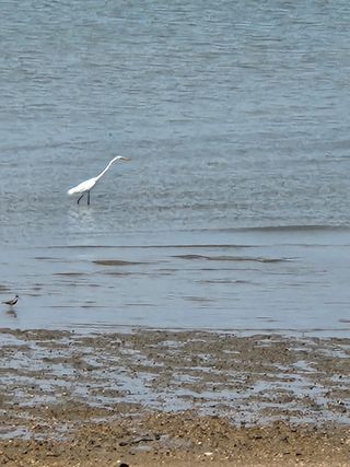 오임택 님의 자유주제 · 자유게시판 작성글 사진