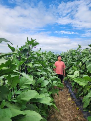 김학용님의 8월 내 작물 자랑하기 · 참여글 작성글 사진