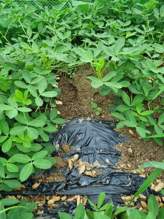 정민지호맘님의 콩 · 자유게시판 작성글 사진