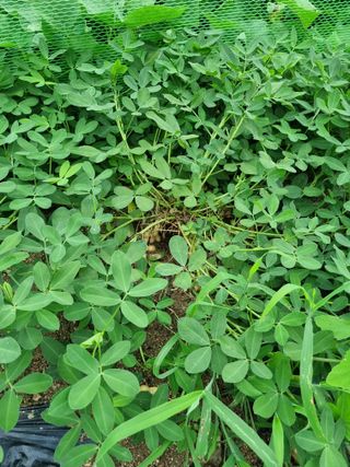 정민지호맘님의 콩 · 자유게시판 작성글 사진