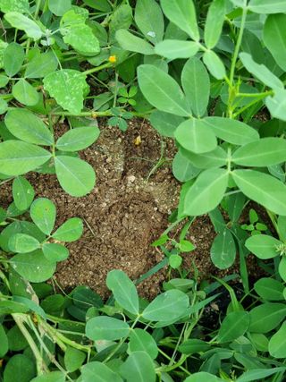 정민지호맘님의 콩 · 자유게시판 작성글 사진