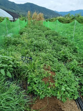 정민지호맘님의 콩 · 자유게시판 작성글 사진