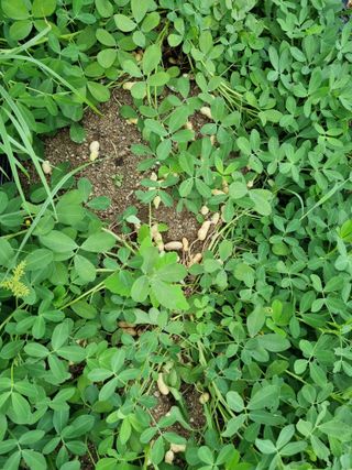 정민지호맘님의 콩 · 자유게시판 작성글 사진