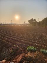 팜모닝 8월 내 작물 자랑하기·참여글 게시글 이미지