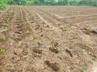 김형용님의 우리동네 · 동네자랑 작성글 사진