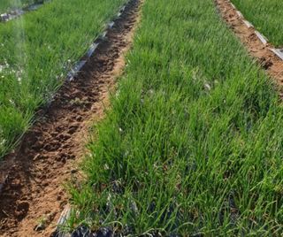 민들레님의 작성글 사진