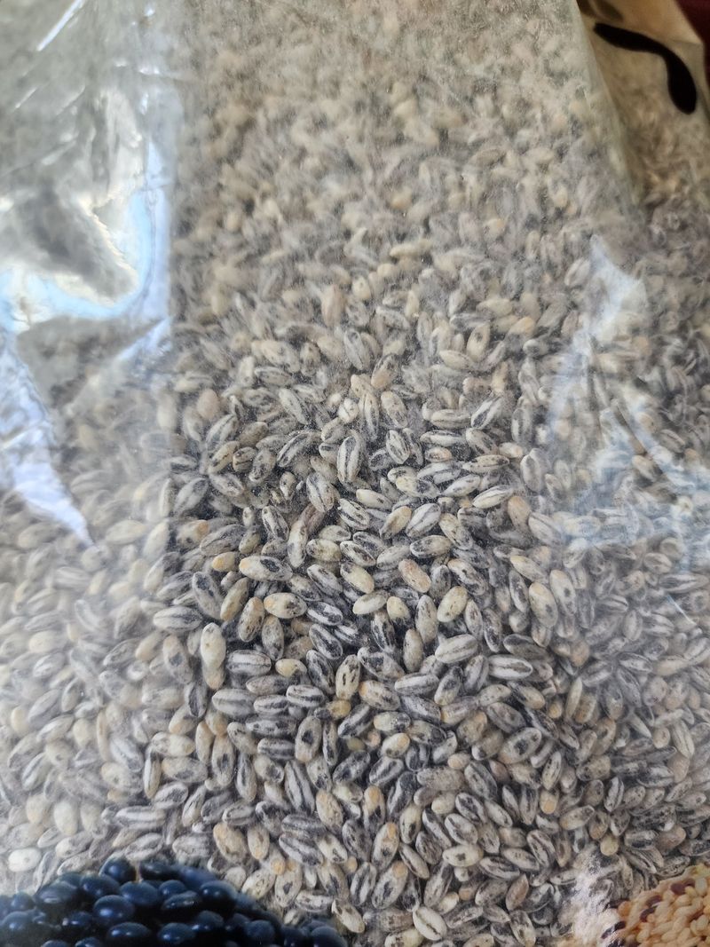 장터 상품 [흑찰보리2키로] 썸네일