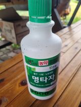 팜모닝 블루베리·영농일지 게시글 이미지