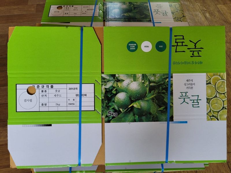 김경철님의 장터 판매 상품 [서귀포 풋귤(청귤) 판매합니다] 첨부 사진