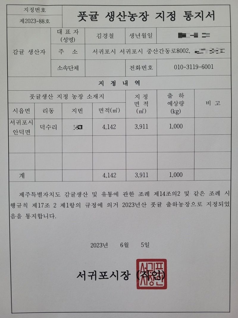 김경철님의 장터 판매 상품 [서귀포 풋귤(청귤) 판매합니다] 첨부 사진