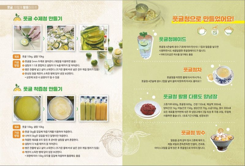 김경철님의 장터 판매 상품 [서귀포 풋귤(청귤) 판매합니다] 첨부 사진