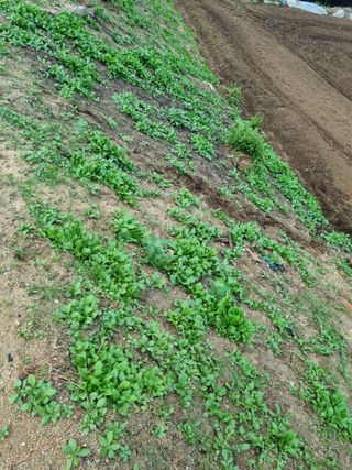 그린1505님의 기타작물 · 자유게시판 작성글 사진