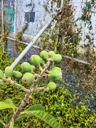 김상철님의 8월 내 작물 자랑하기 · 참여글 작성글 사진