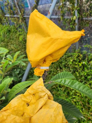 김상철님의 8월 내 작물 자랑하기 · 참여글 작성글 사진