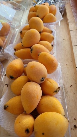 김상철님의 8월 내 작물 자랑하기 · 참여글 작성글 사진