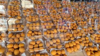 김상철님의 8월 내 작물 자랑하기 · 참여글 작성글 사진