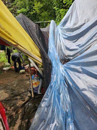 박상현님의 우리동네 · 동네수다 작성글 사진
