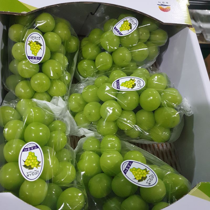 4799님의 장터 판매 상품 [샤인머스켓 2kg] 첨부 사진