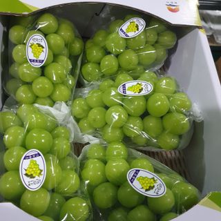 4799님의 작성글 사진