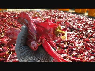 농부아내님의 작성글 사진