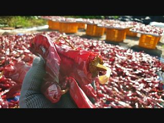 농부아내님의 작성글 사진