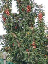 팜모닝 자유주제·자유게시판 게시글 이미지