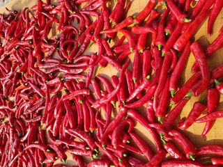 이병찬님의 8월 내 작물 자랑하기 · 참여글 작성글 사진