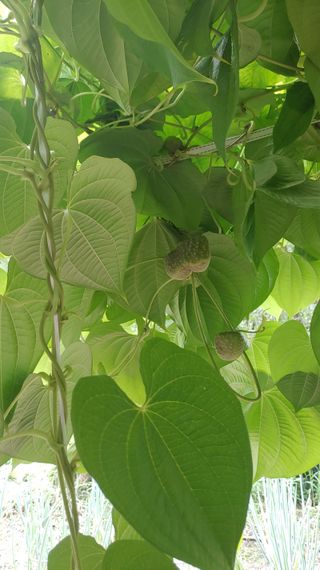 박상현님의 자유주제 · 자유게시판 작성글 사진