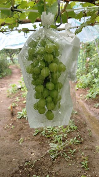 박상현님의 자유주제 · 자유게시판 작성글 사진