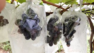 박상현님의 자유주제 · 자유게시판 작성글 사진