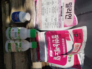 문성농장15146님의 감 · 영농일지 작성글 사진