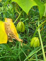 팜모닝 자유주제·자유게시판 게시글 이미지