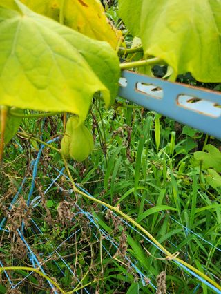 이서울비님의 자유주제 · 자유게시판 작성글 사진