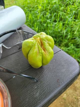 이서울비님의 자유주제 · 자유게시판 작성글 사진