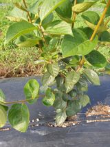 팜모닝 감·자유게시판 게시글 이미지