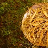 팜모닝 · 게시글 이미지