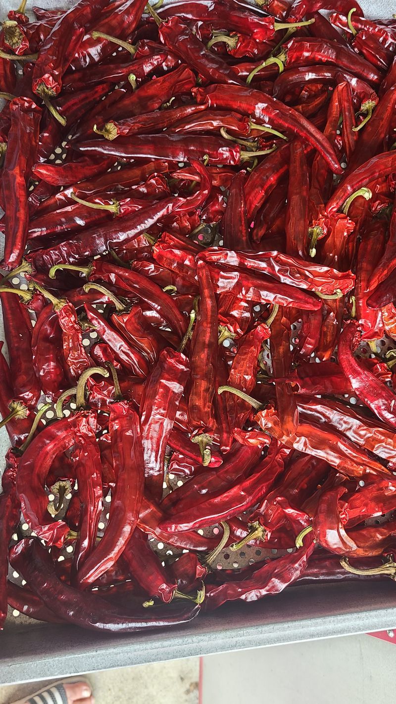 장터 상품 [건고추600g] 썸네일