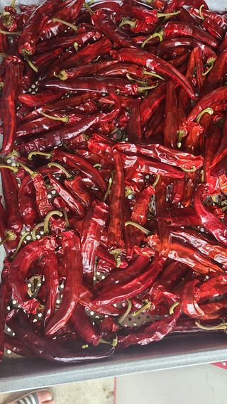 상현님의 작성글 사진