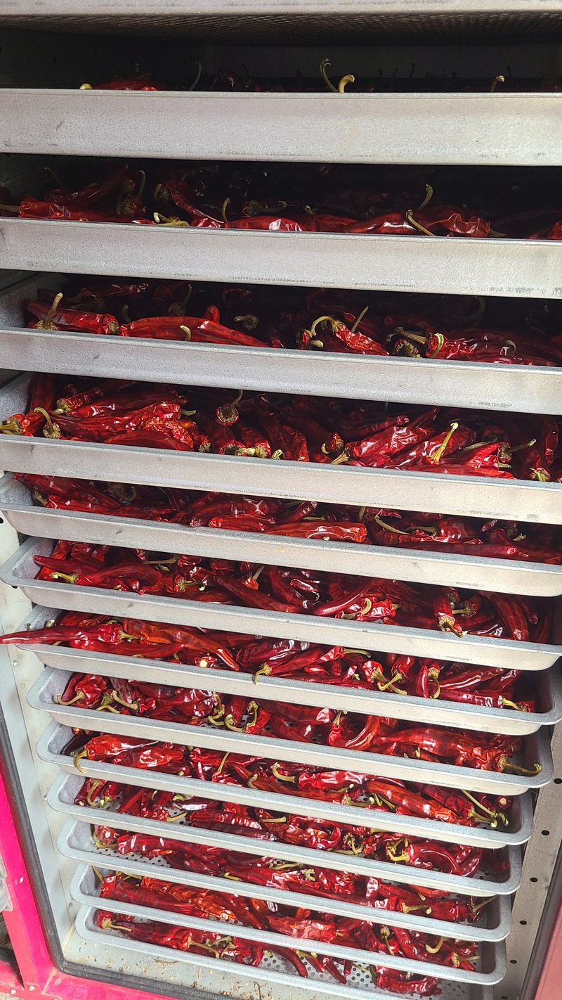 상현님의 장터 판매 상품 [건고추600g] 첨부 사진