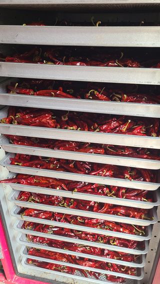 상현님의 작성글 사진