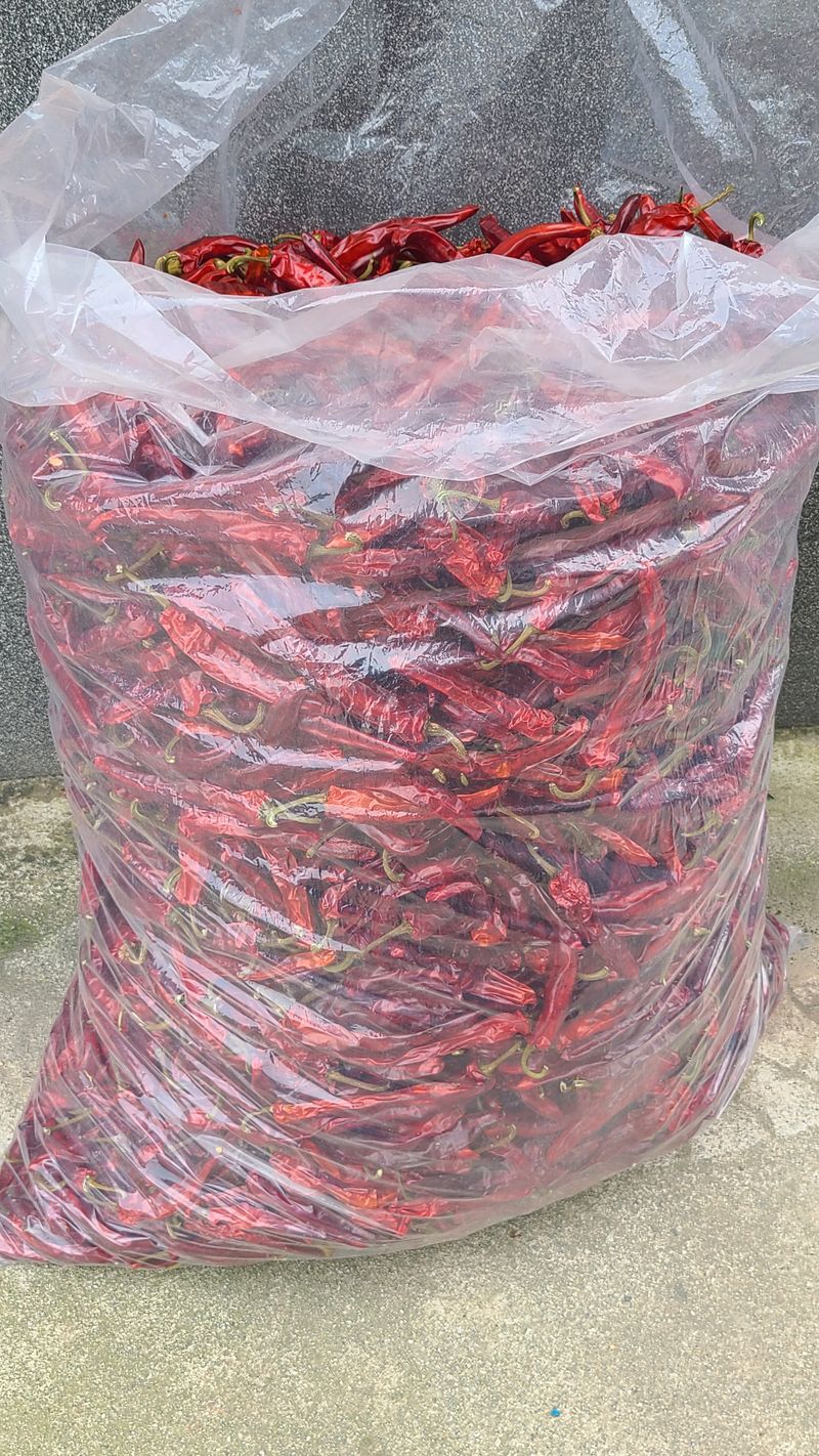 상현님의 장터 판매 상품 [건고추600g] 첨부 사진