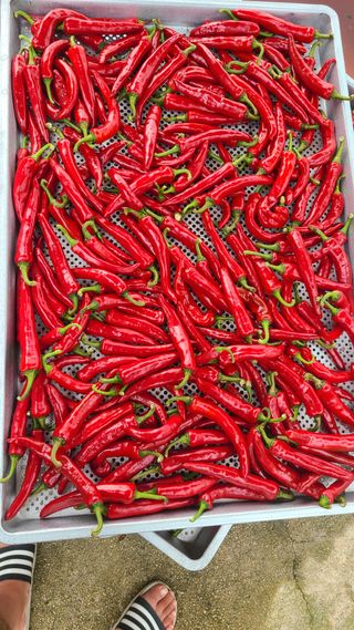 상현님의 작성글 사진